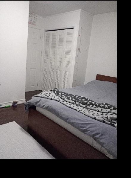 Large bedroom / March 1st / Don Mills & Finch Image# 1