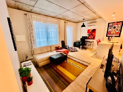 3 1 chCondo Locatif CHIEN okVISITE 14 Fv 1416h