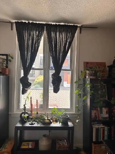 One Bedroom Apartment - New Edinburgh Image# 4