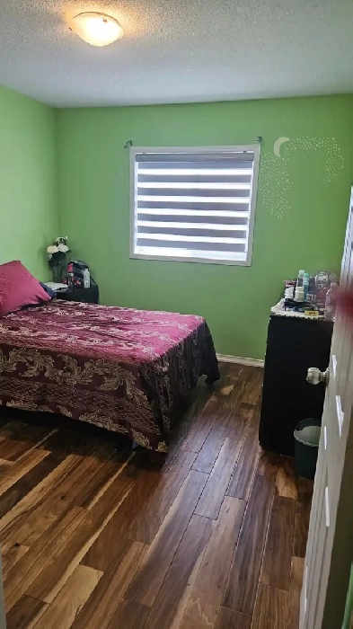 Private Room Available - February 15th or February 30th Image# 1