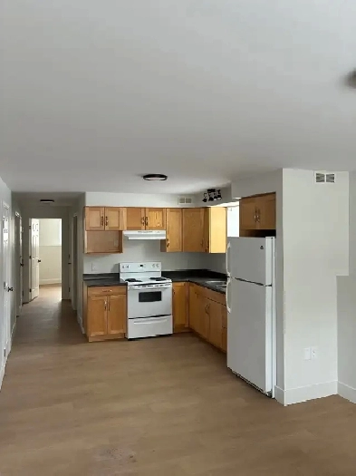 Renovated 1-Bedroom Apartment for rent! Image# 1