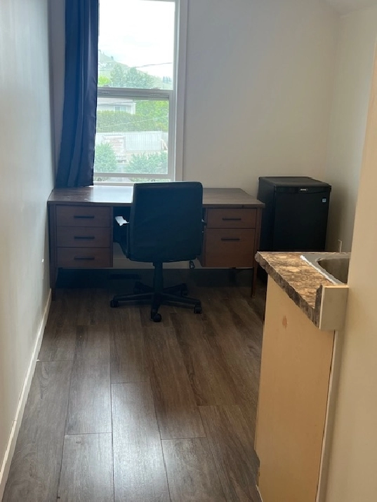 a bachelor with mountain view , near UBCO, Walmart for rent