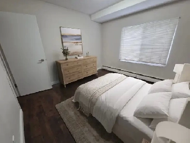 1 bedrooms & Studios available now | Cat friendly! Image# 2