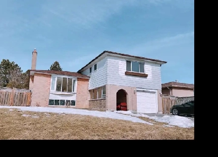 UTSC and Centennial College 3 rooms apartment for rental Image# 2