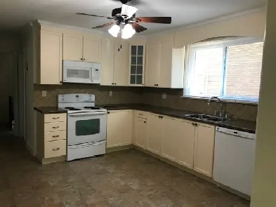 Nice large 1 bedroom Image# 3