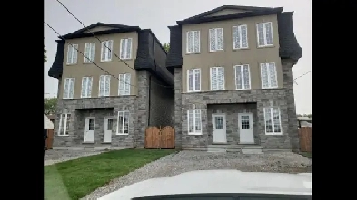 Beautiful Basement Apt-Avail April Image# 1
