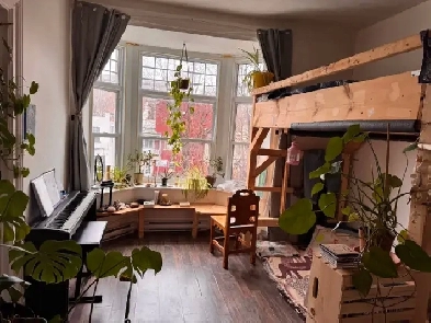 Belle grande chambre , René-Lévesque Est, cuisine privée WIFI