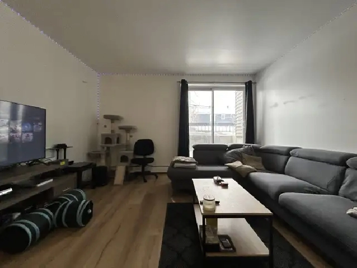 Appartement 4 ½ à louer Charlesbourg juillet 2026