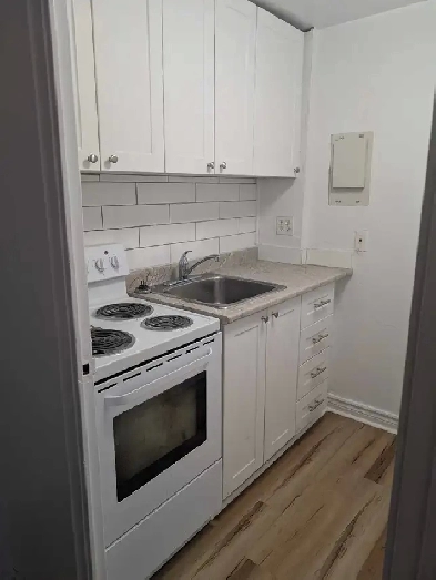 Large Studio Newly Renovated Image# 4