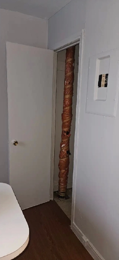 3 1/2 à louer magog Image# 1