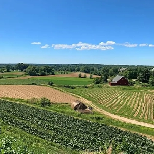 Looking for land for sale Image# 2