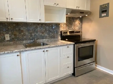 TWO BEDROOM APARTMENT WITH PARKING OTTAWA CENTRAL Image# 5