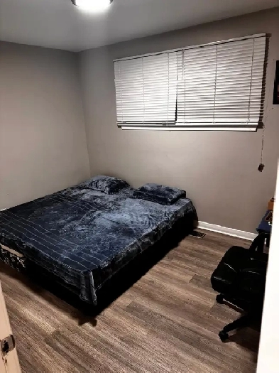 Room For rent Image# 1