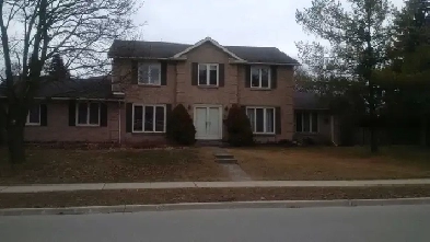 Beautiful Upstairs Room for one Female an 8 min. walk to U of G