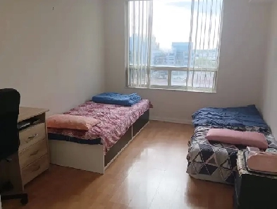 Private room with private attached bath for rent - female only Image# 1