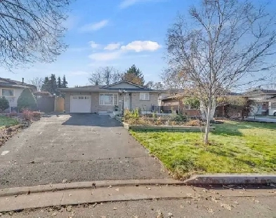 Main Unit for Rent Image# 1