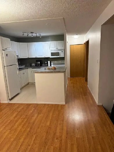 Gorgeous 2 bedroom condo in the prestigious area of Lindenwoods Image# 1