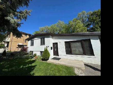 2 SHARING ROOM AVAILABLE FOR RENT ,BRAMPTON Image# 5