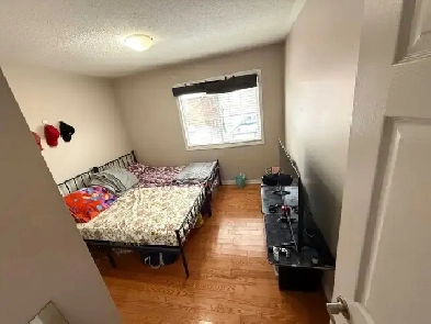 2 sharing & private room for rent in Scarborough Image# 4