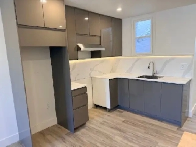 3½ Entièrement rénové – Rue Masson (Rosemont) Image# 1