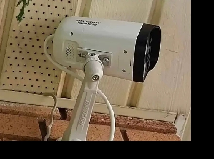 Female Student Rooms - 10min Walk to McMaster - $600-$800 Image# 1