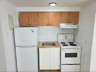 ENTIÈREMENT RÉNOVÉ Studio 2 1/2 à St-Bruno-de-Montarville Image# 1