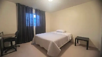 Rooms for Rent. Private Rooms Close by Londonderry Mall, SuperSt Image# 1