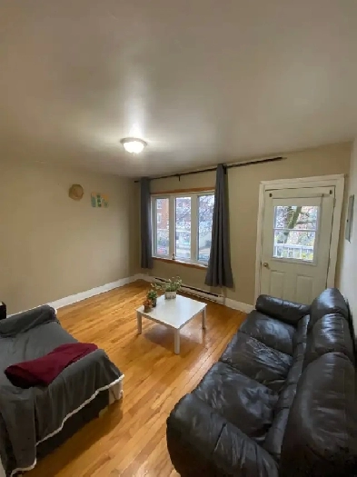 Appartement 3et demi a louer dans Villeray Image# 1