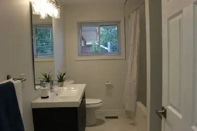 Spacious 3 Bed Mtn Apartment | Great Location | Parking Included Image# 1