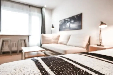 Beau studio à louer - Emplacement idéal - Métro Laurier Image# 1