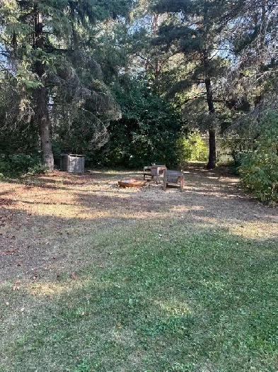 Basement Suite on Farm near Millet,AB Image# 8