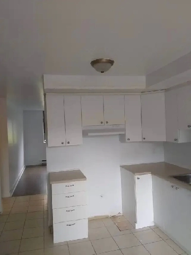 Grand 4 ½ , près d'un parc, propre pour le 1 juillet Image# 1