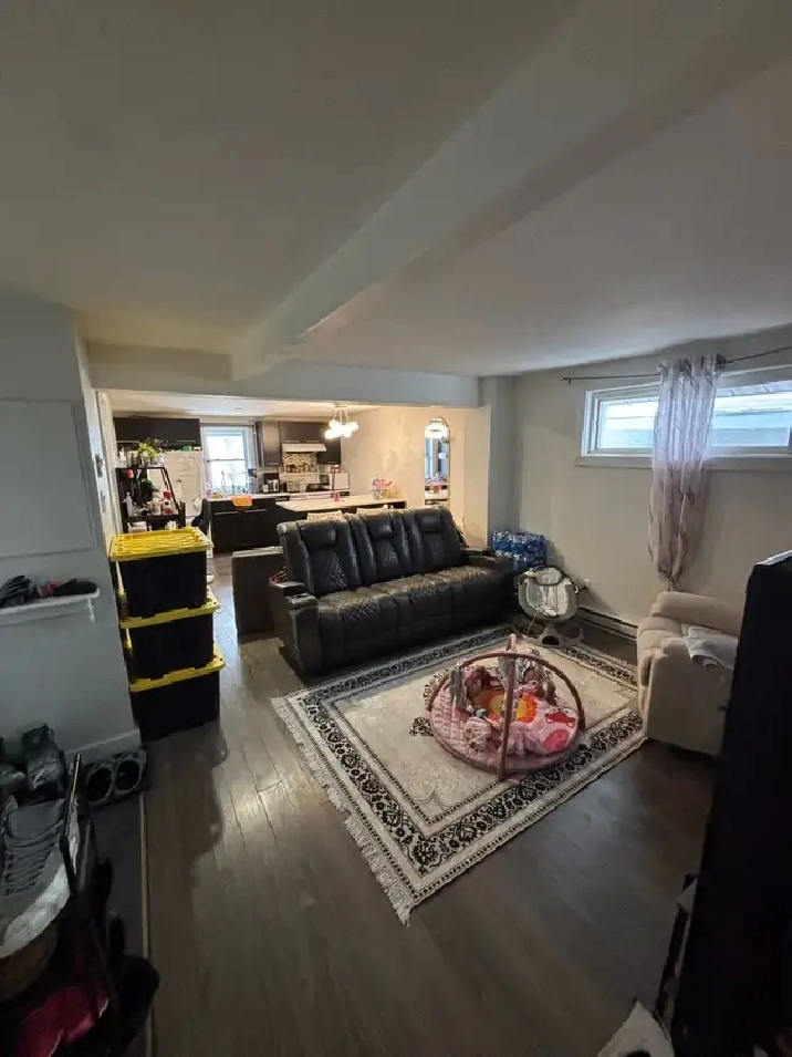 1 bedroom 1 bath apartment