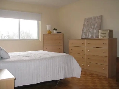 Grand 4 1/2 a Louer, Chauffe, Saint(St)-Leonard Image# 1