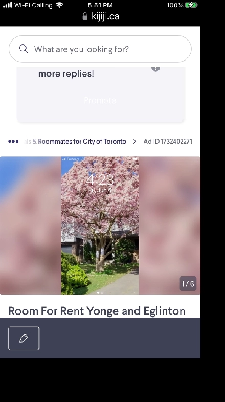 Room For Rent Yonge and Eglinton Feb 520$ Image# 1