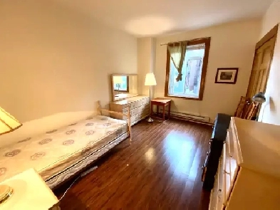 Room for rent, 750/mois,4 mins to metro Vendôme Image# 1