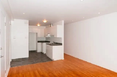 Beau grand 3 ½ à 2 min métro d’Iberville (Rosemont) –1190$/mois Image# 1