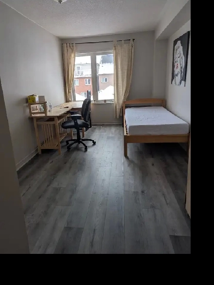 2nd flr Large Room Private Bath Parking @York University Village Image# 1