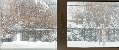 Only 1250 Really Spacious Entire One Bedroom Unit Rent