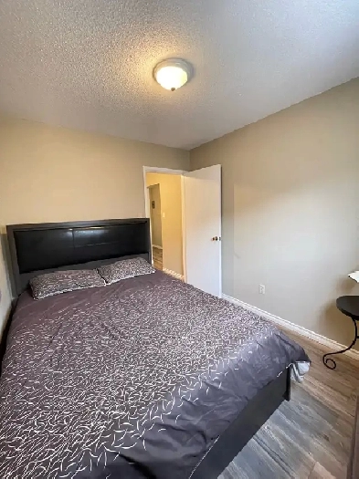 FOR RENT 1 & 2 Bd Apartment 11916 105 St Edmonton Image# 5