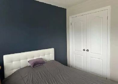 1 Large Room for Rent ~ Collingwood