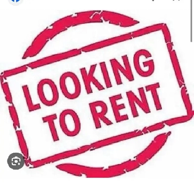 looking for a home Image# 1