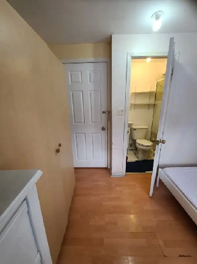 Room.Minutes walk Finch west subway station York d York U campus Image# 1