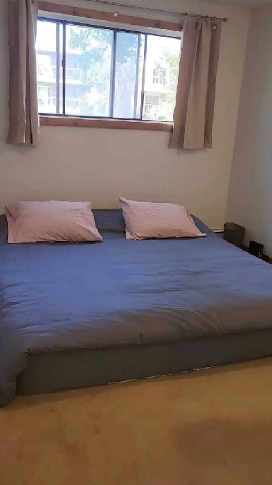 1 Bedroom 1 bath in Sunalta