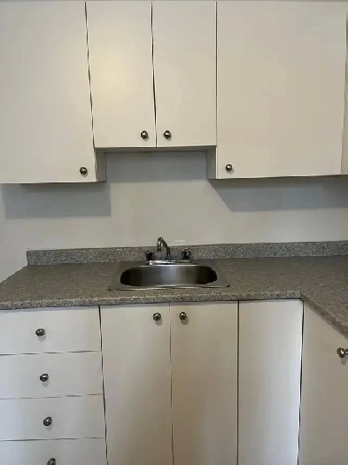 4 ET DEMI ABORDABLE SUR LA RUE MASSON Image# 1