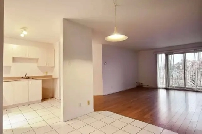 4 1/2 à Limoilou dans un immeuble style condo