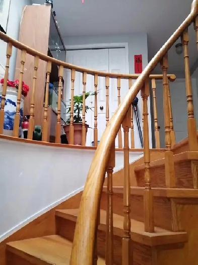 Warden/South of Steeles, furnished big room Image# 1