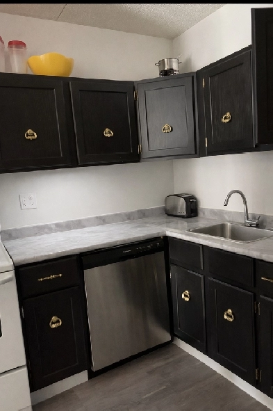 1-Bedroom Apartment Suite in St Vital Available Now for Rent Image# 1