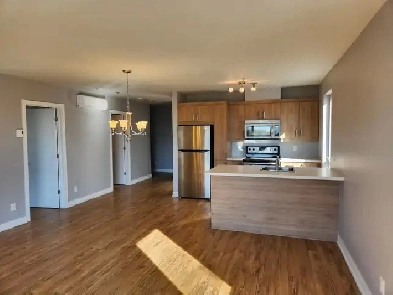 Grand 4 1/2  avec électros, piscine et cour arrière aménagée Image# 1