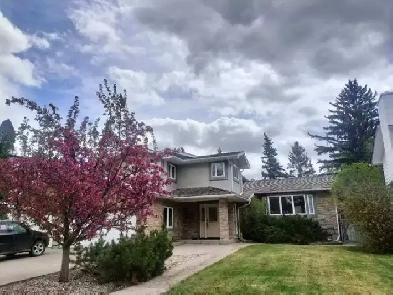 Fully furnished spacious room for rent in a beautiful house Image# 1